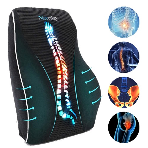 Lumbar back support - back,