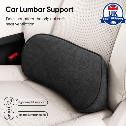 Back cushion support - cushion,